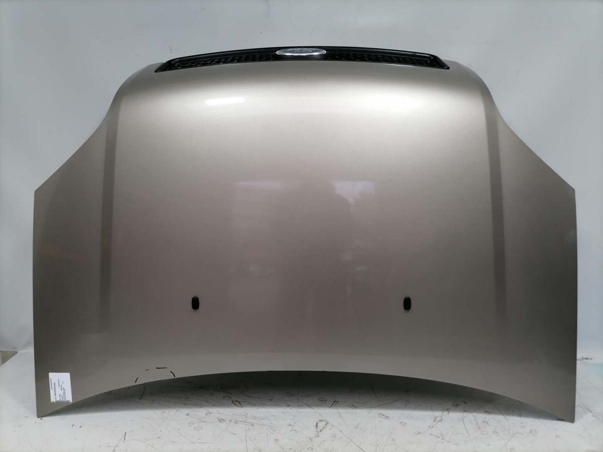 Ford Fusion original Motorhaube Sahara Metallic Bj.2004